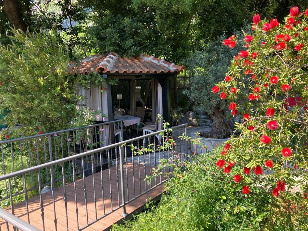 Apartments Villa Eden Kotor Buitenkant foto